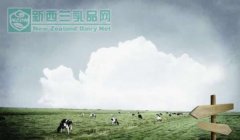 新西兰“西部乳业”计划成立中国子公司