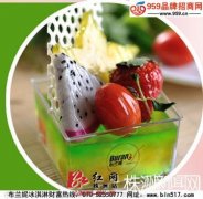 布兰妮美味冰淇淋品牌让投资者实现盈利最大化