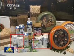 中荷双边经贸会谈，佳贝艾特作为荷方本土乳品代表展出