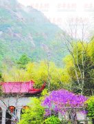 搜罗商场旅行等信息 惬意清明吃喝玩乐随心去