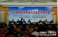 河北：脱胎换骨打造奶业强省 产量跃居全国第二