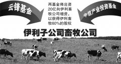 马云领衔投资伊利牧