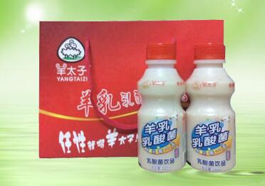 原味羊奶发酵乳酸菌 全国招商