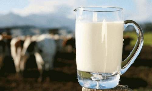 印度将延长从中国进口牛奶和乳制品禁令的时间(图1)
