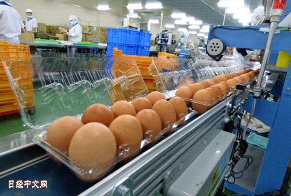 欧盟将解除对日本鸡蛋和乳制品进口限制