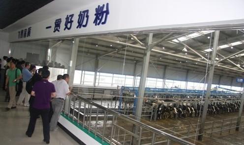 飞鹤乳业引领国产奶粉进入高端化时代