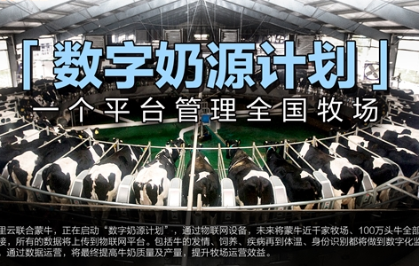 从饲养到产奶 阿里云联合蒙牛启动“数字奶源计划”