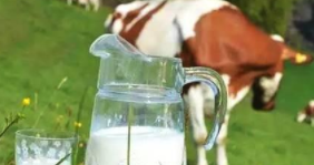 7月份第5周生鲜乳平均价格3.61元/公斤