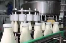福建对乳制品等5类重点品种开展风险排查整治