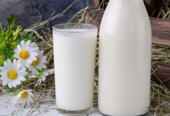 幼儿膳食研究显示：普通牛奶不能替代母乳或配方奶(图1)