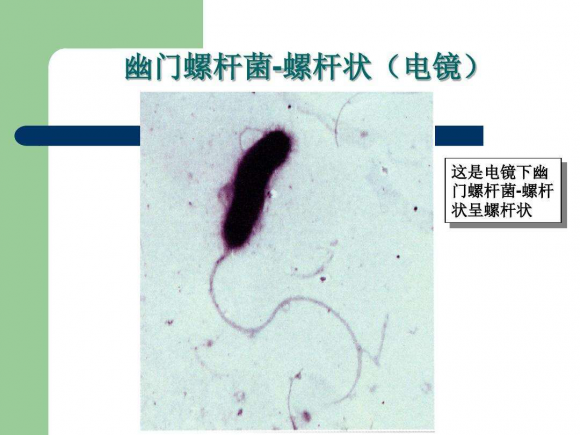 幽门螺旋杆菌为什么总治不好？(图1)