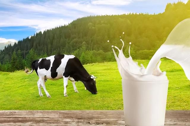 牛奶含大量激素，会导致性早熟和癌症，是真还是假？看完涨知识了(图2)