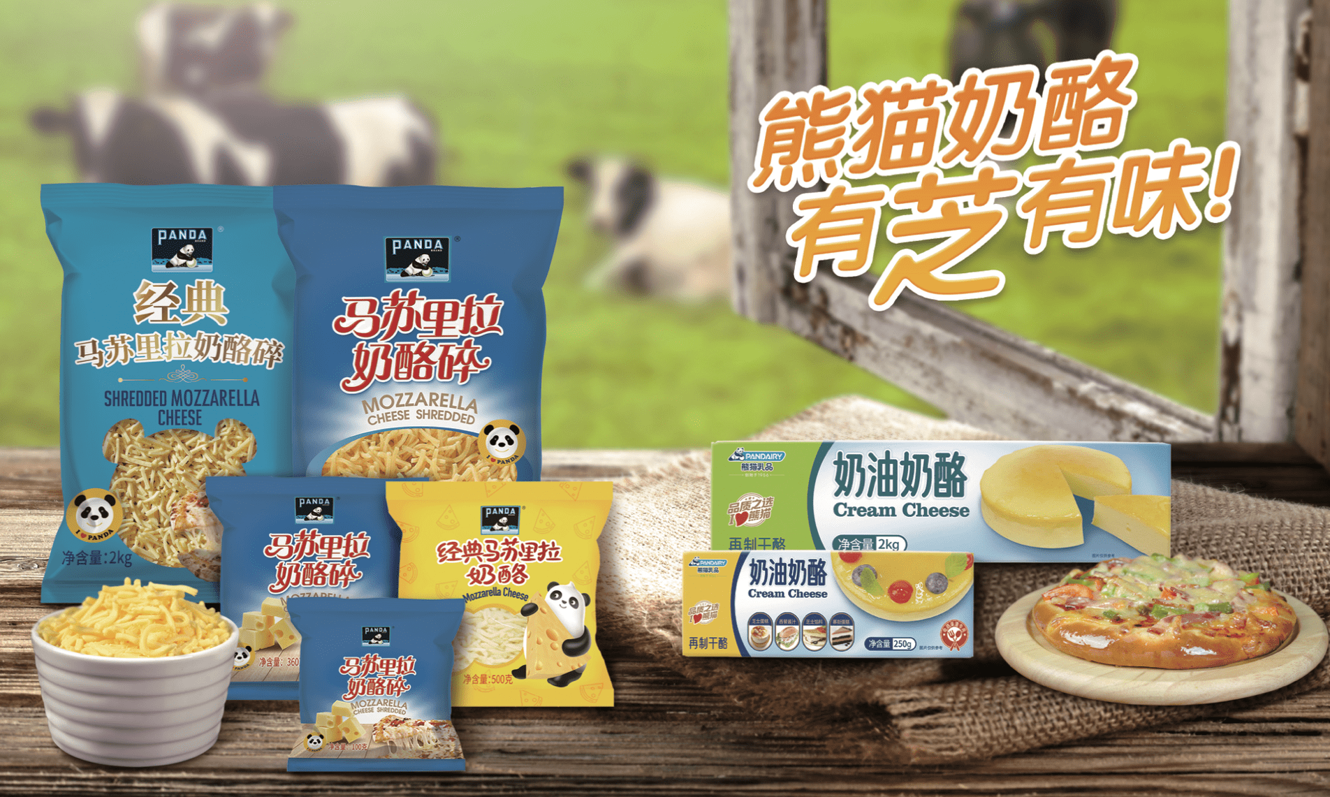 聚焦龙头，期待复苏，炼乳第一股熊猫乳品2023展望新未来 (图7)