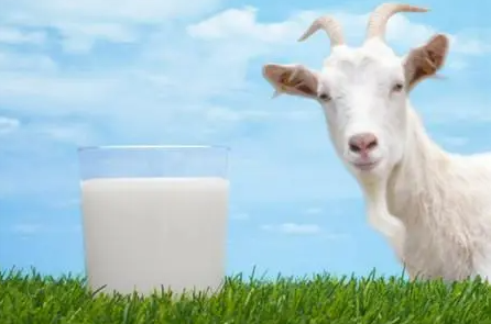 2023年羊奶行业竞争格局：外资品牌占据高端市场