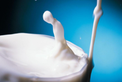 2023年2月新交所-新西兰交易所乳制品衍生品市场报告