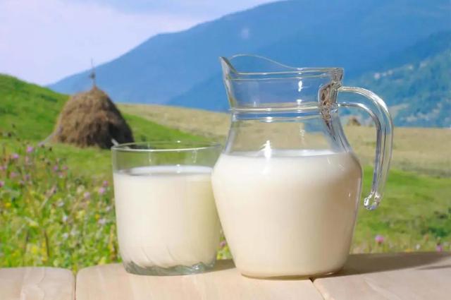 牛奶、酸奶、奶粉、羊奶、骆驼奶，哪个营养价值高？(图5)