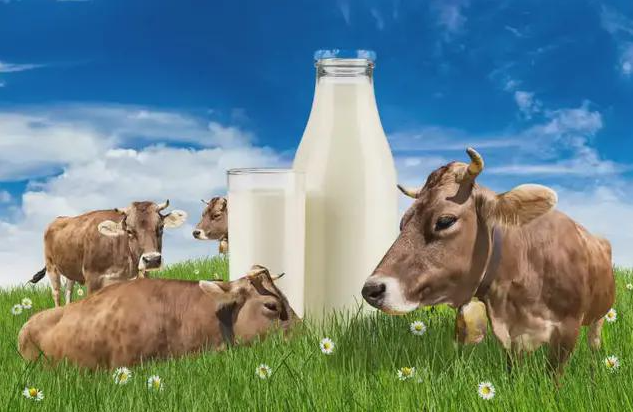 自治区生鲜乳价格协调委员会的成立，意味着内蒙古有了常态化生鲜乳价格协调机制