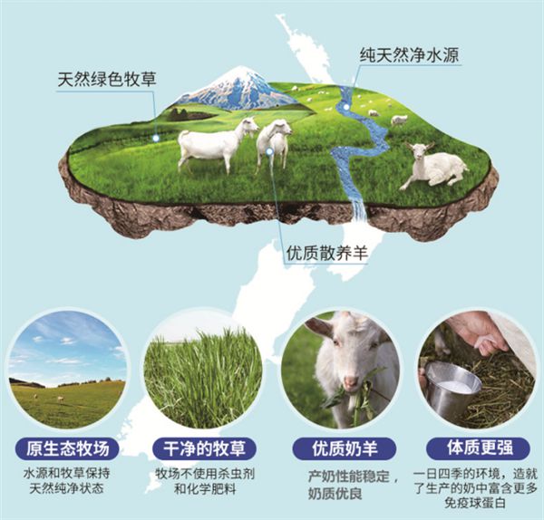 热烈庆祝陕西凯达乳业有限公司成立45周年(图5)