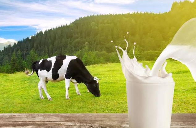 关于牛奶的消费误区和健康风险有哪些？