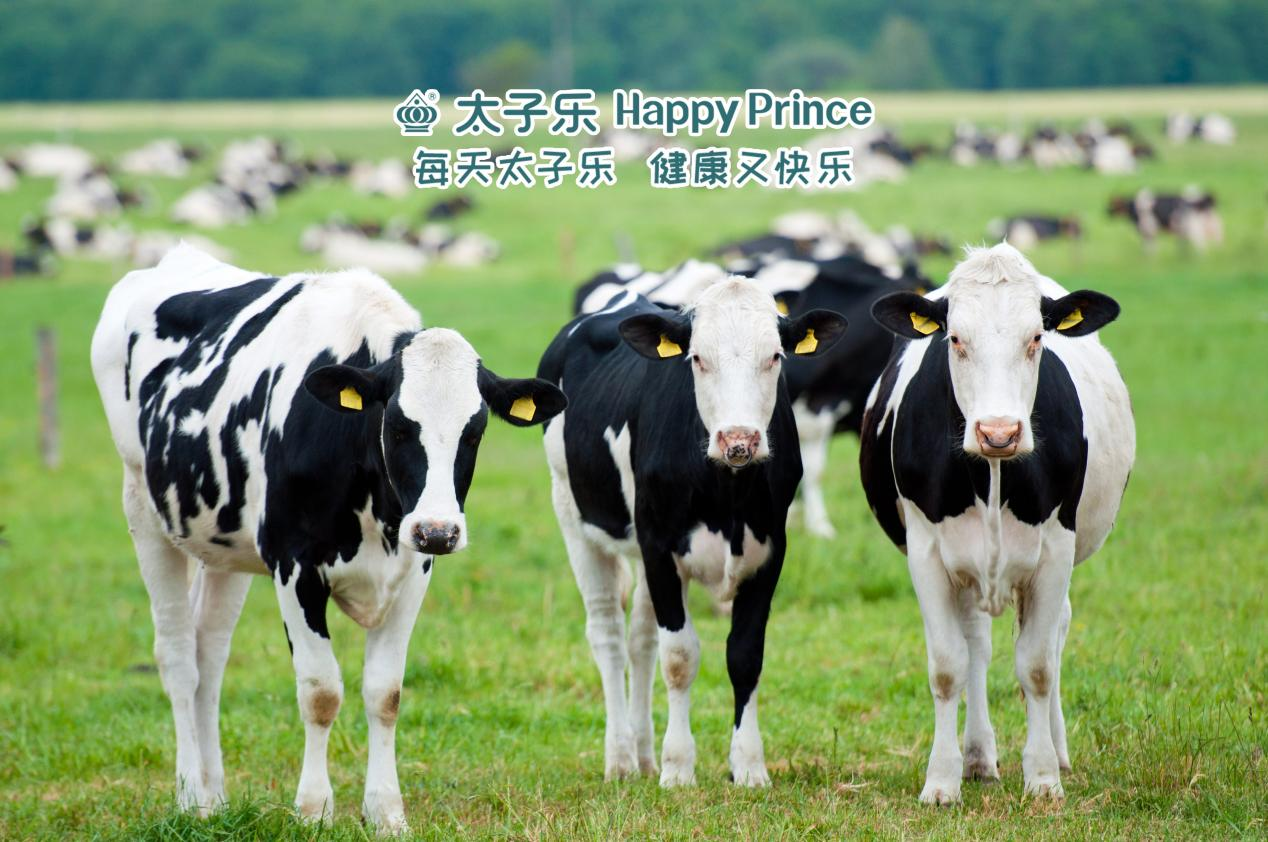 太子乐获颁2023乳业科技技术进步奖 亮剑民族乳企实力