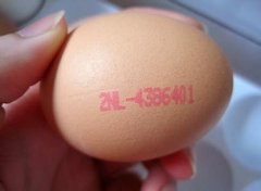 从一盒鸡蛋看露恩迪奶粉崛起的秘密