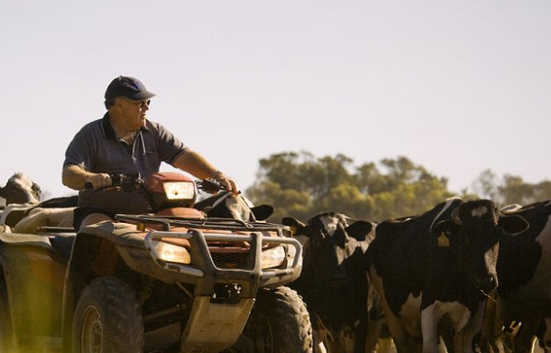澳大利亚乳品加工商同意修改奶农合同条款(图1)