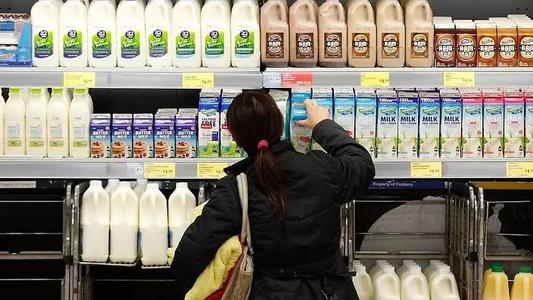 澳大利亚多地超市8款牛奶被宣布召回 或含清洁液