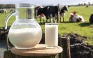睿农研究：2019年第二季度乳品行业市场分析