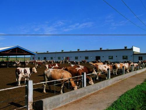 农牧交错带牛羊牧繁农育关键技术集成示范项目启动