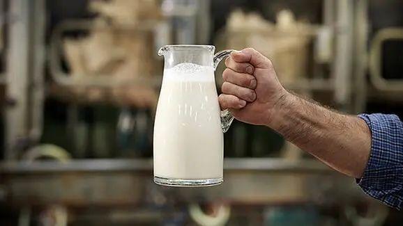 eFeed使用营养补充剂来提高牛奶的质量和数量