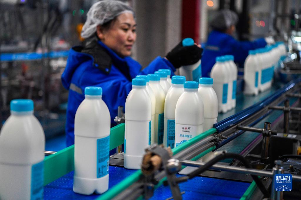 河北丰宁：发展乳制品产业 助力经济高质量发展