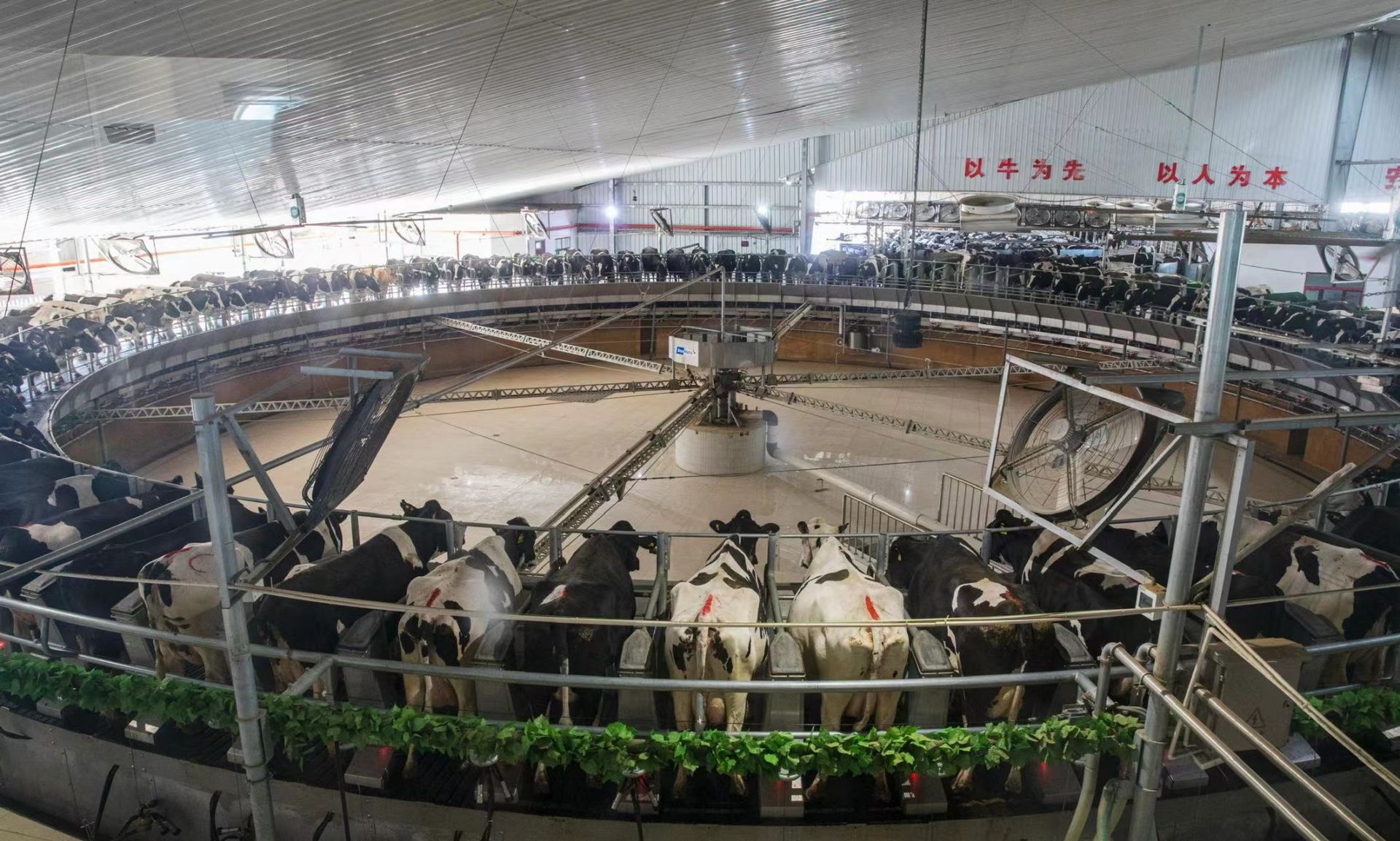 内蒙古兴安伊利乳业向液态奶行业“5G+工业互联网平台”示范项目一期正式投产