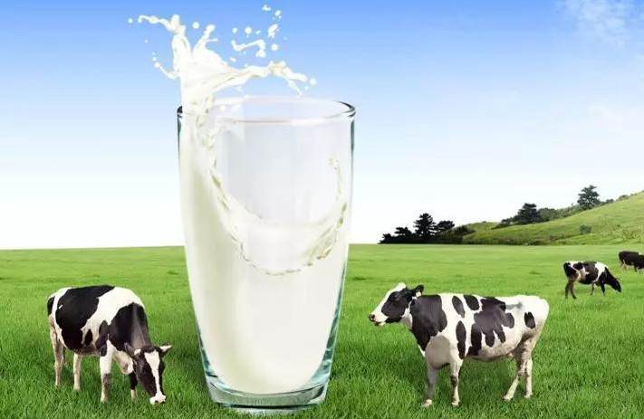 那个产区的牛奶营养好？全球五大核心黄金奶源带分别在哪里？