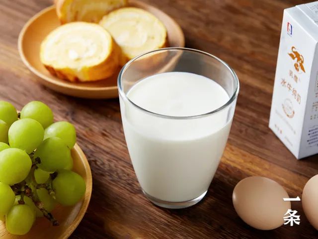 水牛奶——不加"糖"的甜牛奶！每天一杯，香醇、营养、好喝