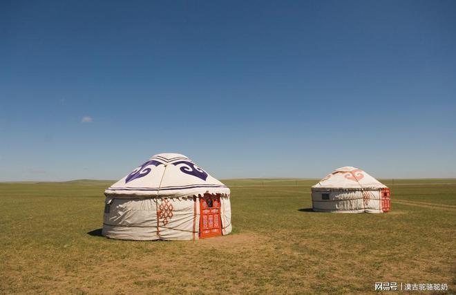 蒙古国牧民们，如何处理加工骆驼奶(图1)