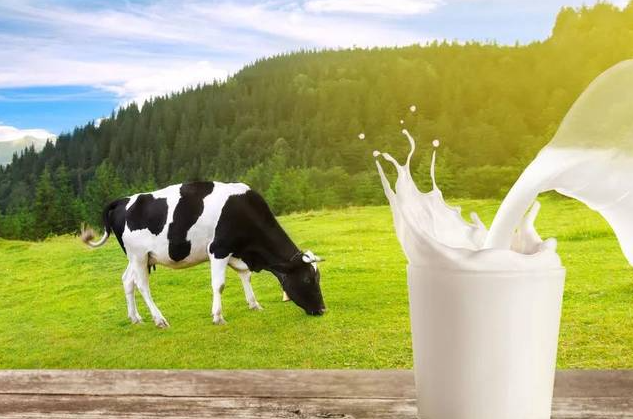 中国牛奶十大品牌排行，中国知名牛奶企业有哪些？