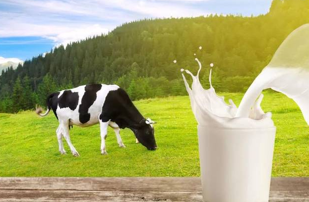 脱脂牛奶和全脂牛奶的区别，喝脱脂牛奶好还是喝全脂牛奶好？