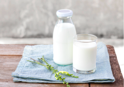 【牛奶与免疫力的关系】喝牛奶会提高免疫力吗?