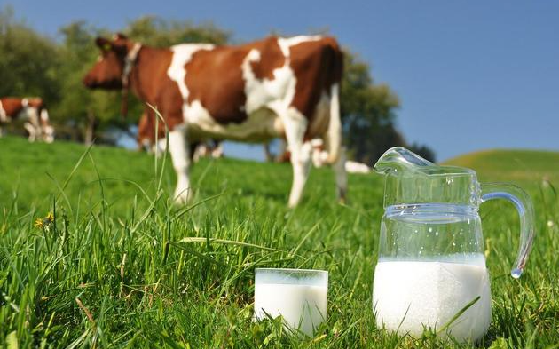 中国优质奶源基地有哪些？奶源对奶业发展的重要性