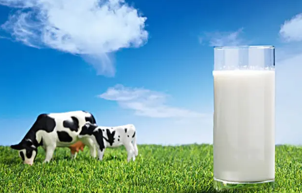 浅谈奶业的季节性变化及其应对措施都有那些？