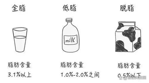 乳制品如何分析其氧化稳定性—OXITEST在乳制品方面的应用(图2)